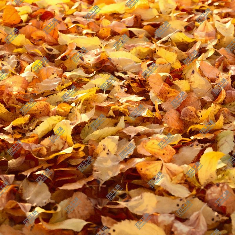 images/goods_img/2021040231/Autumn Leaves 3D model/1.jpg